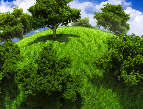 2025 April Newsletter